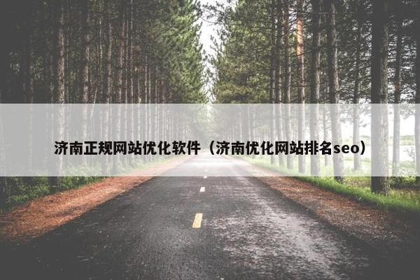 济南正规网站优化软件（济南优化网站排名seo）