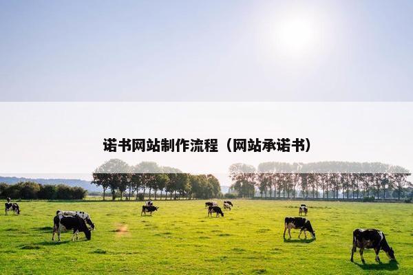 诺书网站制作流程（网站承诺书）
