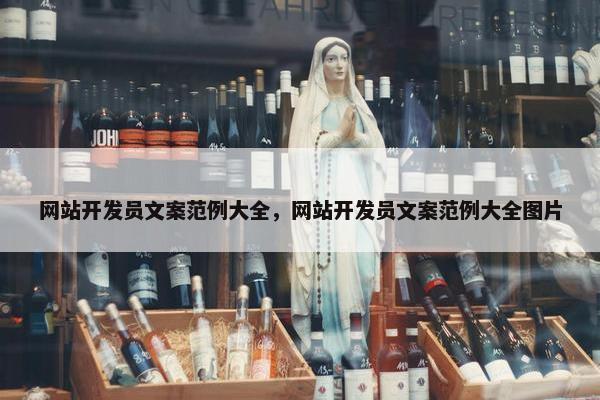 网站开发员文案范例大全，网站开发员文案范例大全图片