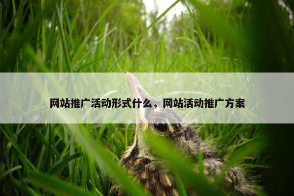 网站推广活动形式什么，网站活动推广方案