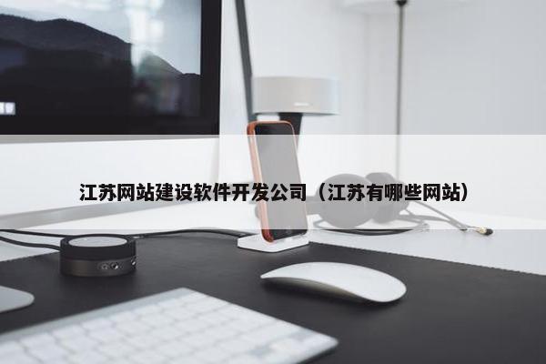 江苏网站建设软件开发公司（江苏有哪些网站）