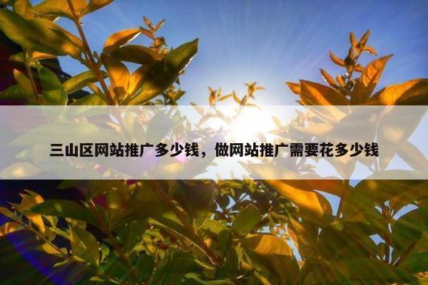 三山区网站推广多少钱，做网站推广需要花多少钱