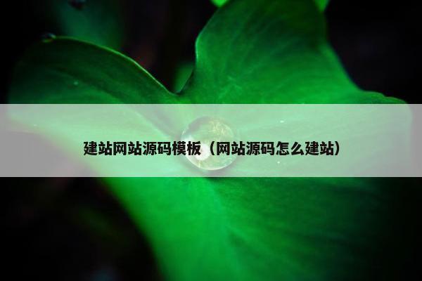 建站网站源码模板（网站源码怎么建站）