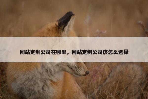 网站定制公司在哪里，网站定制公司该怎么选择