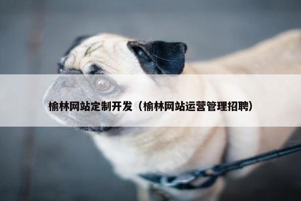 榆林网站定制开发（榆林网站运营管理招聘）