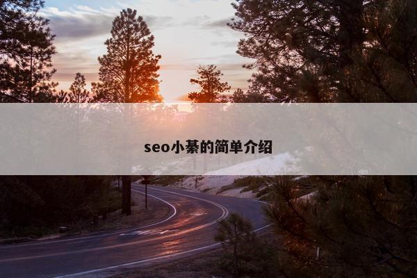 seo小綦的简单介绍