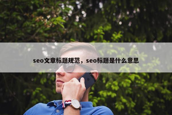 seo文章标题规范，seo标题是什么意思