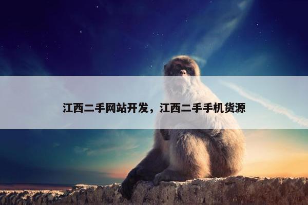 江西二手网站开发，江西二手手机货源