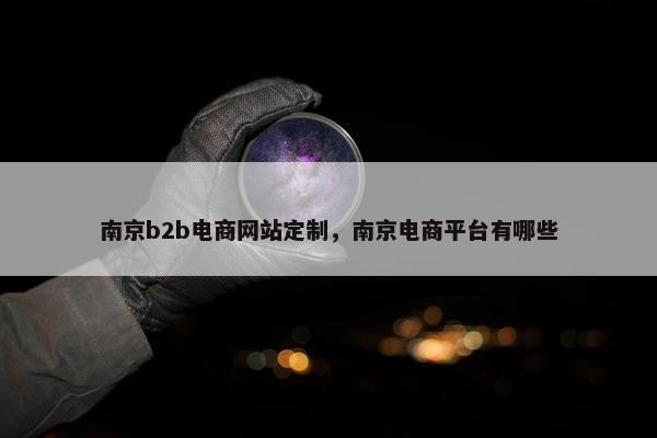 南京b2b电商网站定制，南京电商平台有哪些