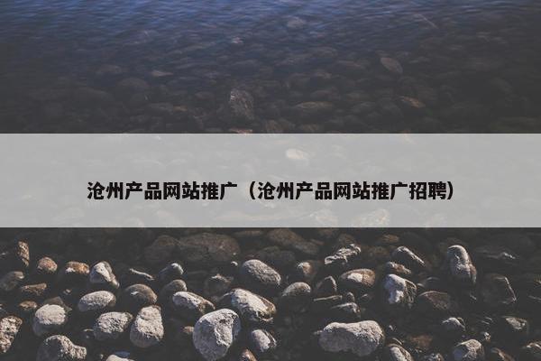 沧州产品网站推广（沧州产品网站推广招聘）