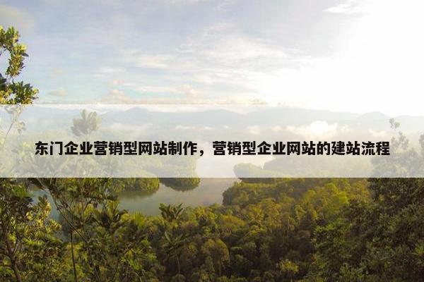 东门企业营销型网站制作，营销型企业网站的建站流程