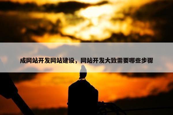 成网站开发网站建设，网站开发大致需要哪些步骤