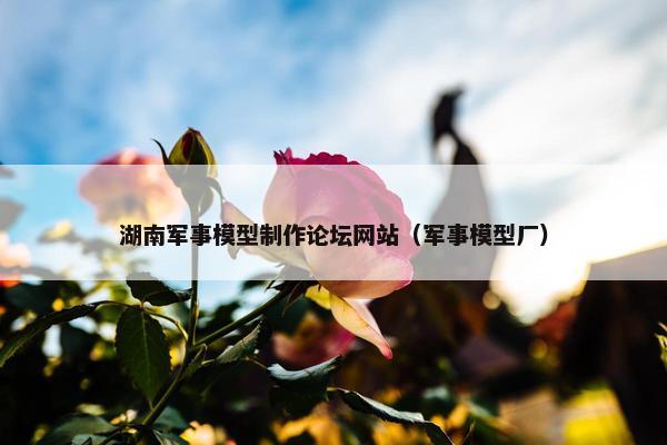 湖南军事模型制作论坛网站（军事模型厂）