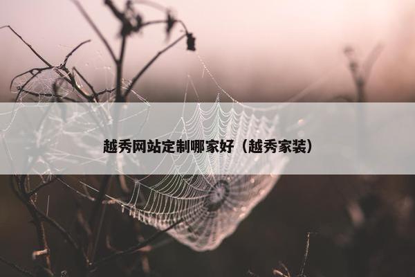 越秀网站定制哪家好（越秀家装）