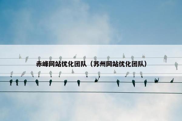 赤峰网站优化团队（苏州网站优化团队）