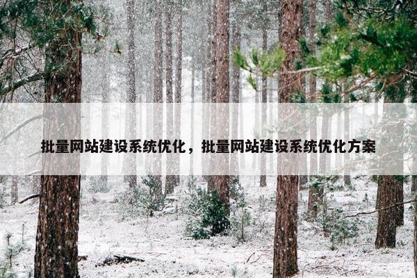批量网站建设系统优化，批量网站建设系统优化方案