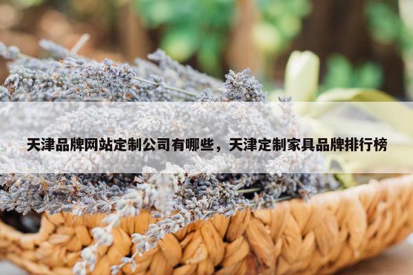 天津品牌网站定制公司有哪些，天津定制家具品牌排行榜