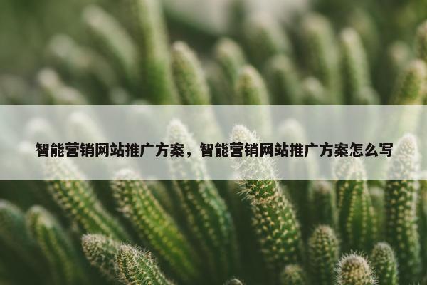 智能营销网站推广方案，智能营销网站推广方案怎么写