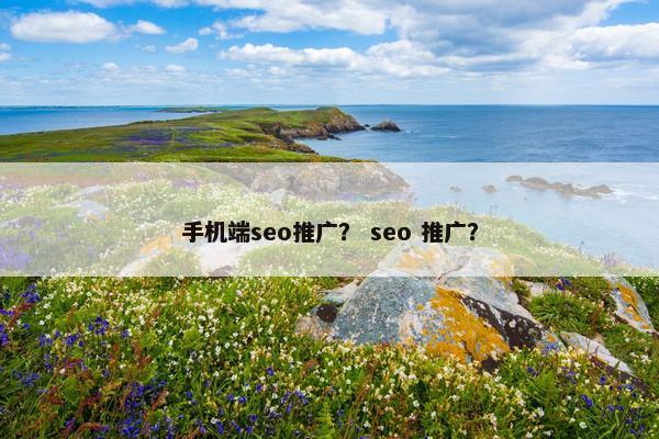 手机端seo推广？ seo 推广？
