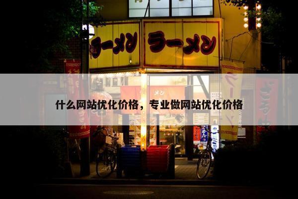 什么网站优化价格，专业做网站优化价格