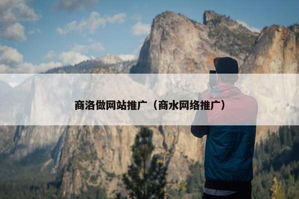 商洛做网站推广（商水网络推广）