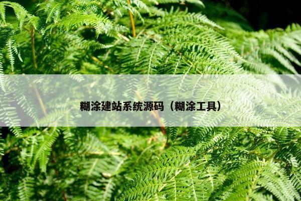 糊涂建站系统源码（糊涂工具）