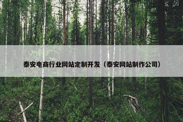 泰安电商行业网站定制开发（泰安网站制作公司）