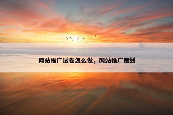 网站推广试卷怎么做，网站推广策划