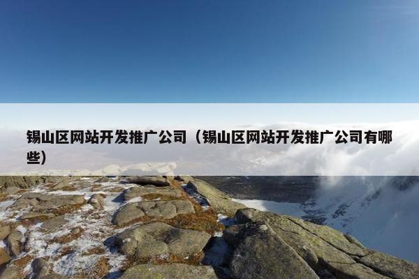 锡山区网站开发推广公司（锡山区网站开发推广公司有哪些）