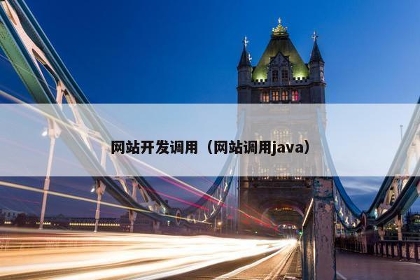 网站开发调用（网站调用java）