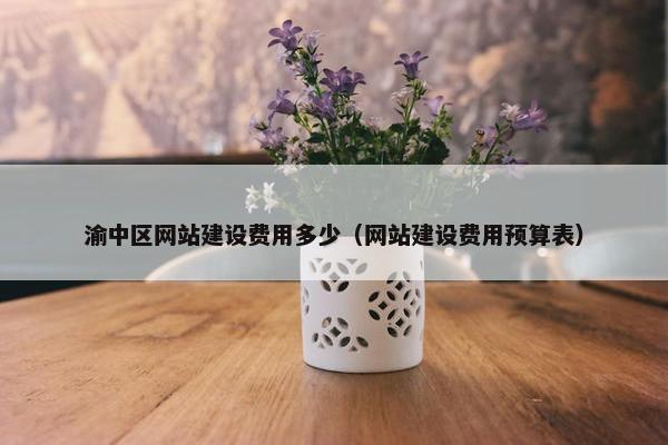 渝中区网站建设费用多少（网站建设费用预算表）