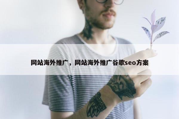 网站海外推广，网站海外推广谷歌seo方案