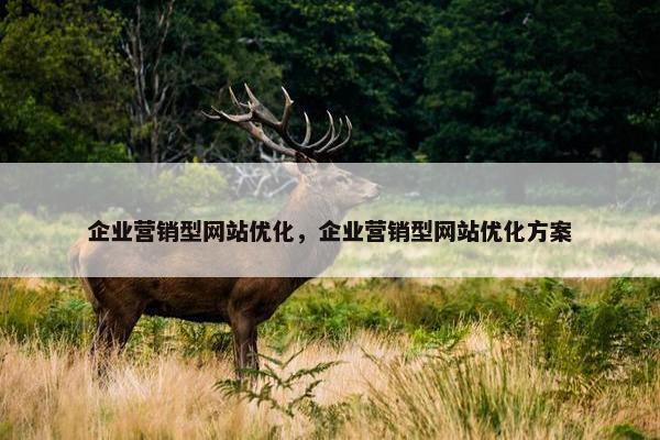 企业营销型网站优化，企业营销型网站优化方案