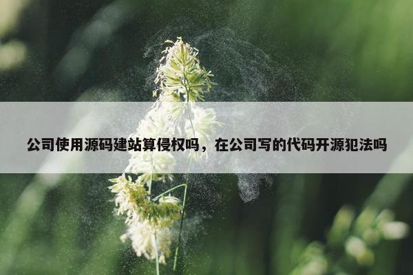 公司使用源码建站算侵权吗，在公司写的代码开源犯法吗