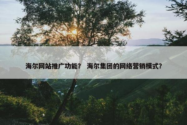 海尔网站推广功能？ 海尔集团的网络营销模式？