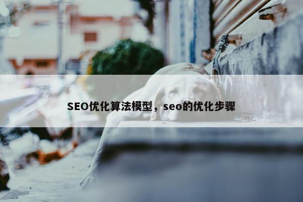 SEO优化算法模型，seo的优化步骤
