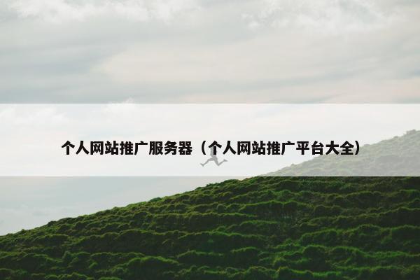 个人网站推广服务器（个人网站推广平台大全）