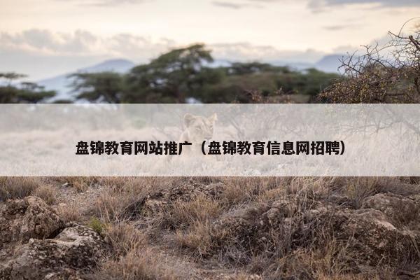 盘锦教育网站推广（盘锦教育信息网招聘）