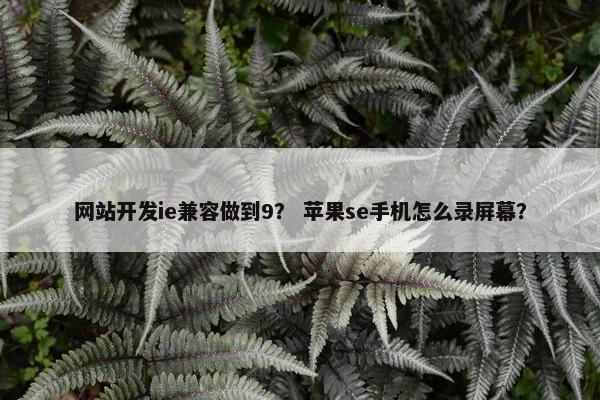 网站开发ie兼容做到9？ 苹果se手机怎么录屏幕？