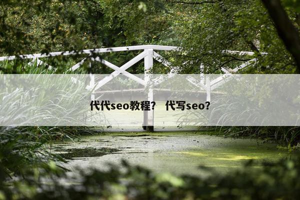 代代seo教程？ 代写seo？