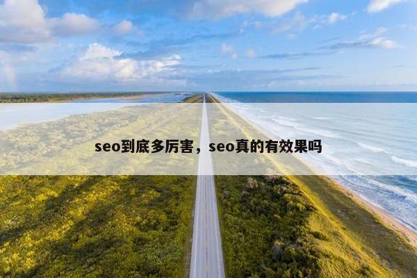 seo到底多厉害，seo真的有效果吗