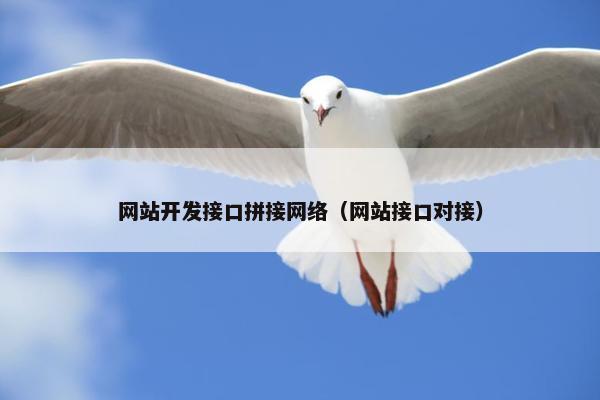 网站开发接口拼接网络（网站接口对接）