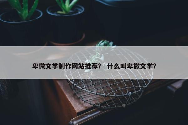卑微文学制作网站推荐？ 什么叫卑微文学？