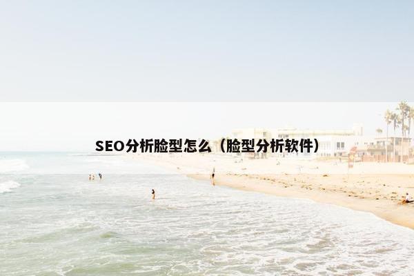 SEO分析脸型怎么（脸型分析软件）