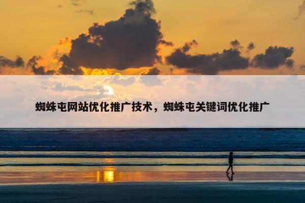 蜘蛛屯网站优化推广技术，蜘蛛屯关键词优化推广