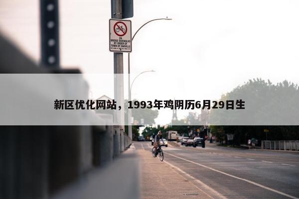 新区优化网站，1993年鸡阴历6月29日生