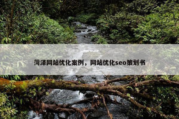 菏泽网站优化案例，网站优化seo策划书