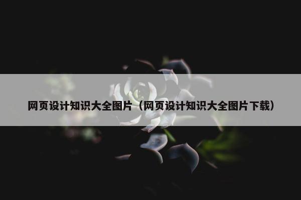 网页设计知识大全图片（网页设计知识大全图片下载）