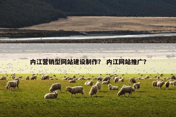 内江营销型网站建设制作？ 内江网站推广？