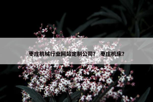 枣庄机械行业网站定制公司？ 枣庄机床？